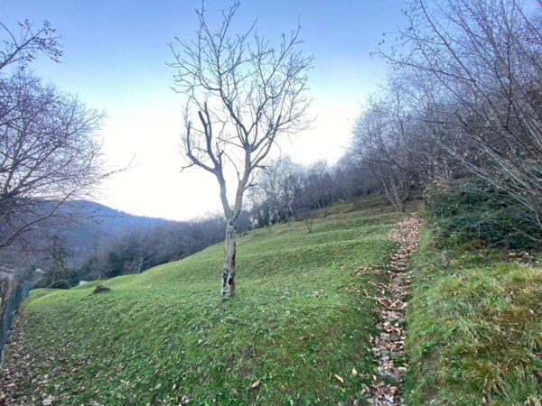 terreno agricolo in vendita ad Olginate