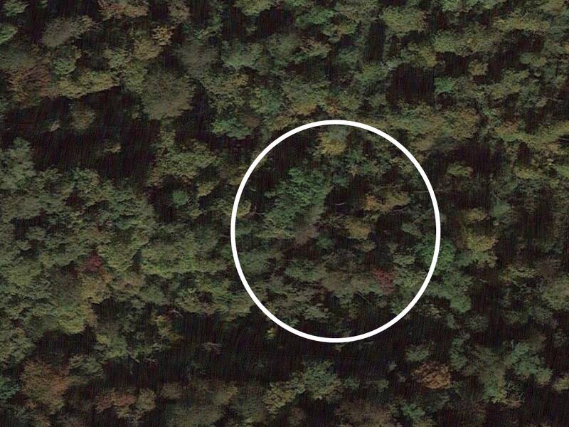 terreno agricolo in vendita ad Olginate