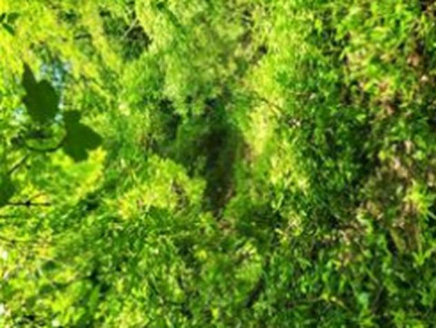 terreno edificabile in vendita ad Olginate