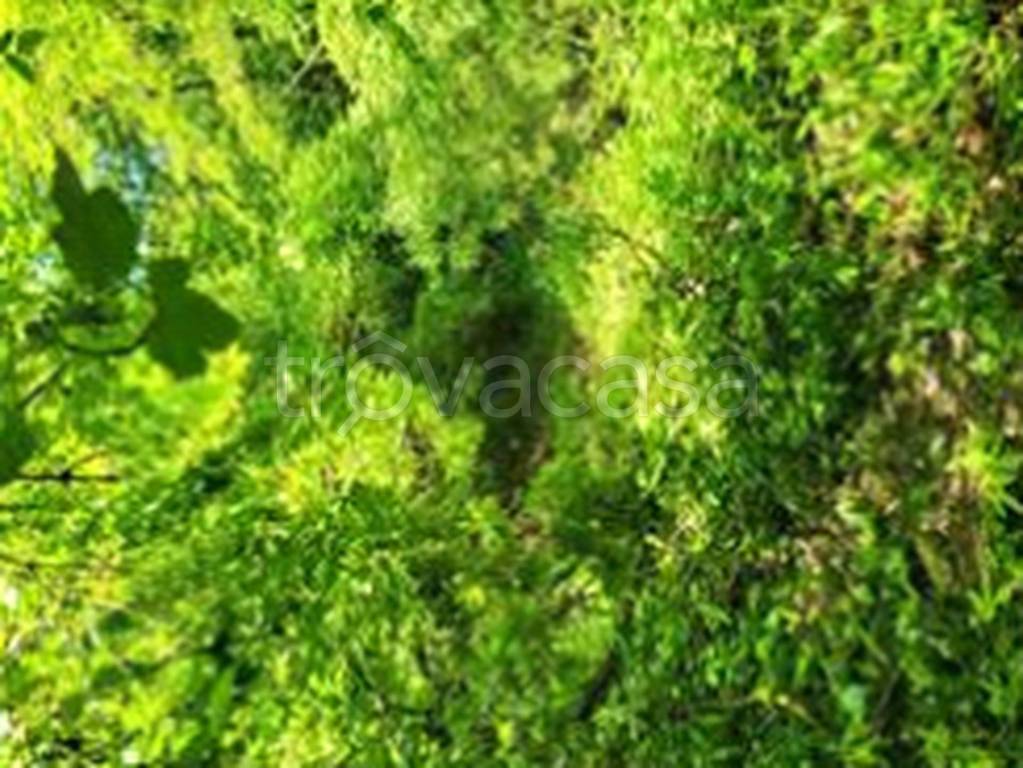 terreno edificabile in vendita ad Olginate