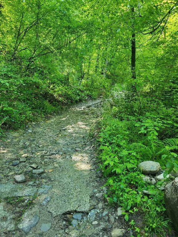 terreno edificabile in vendita ad Olginate