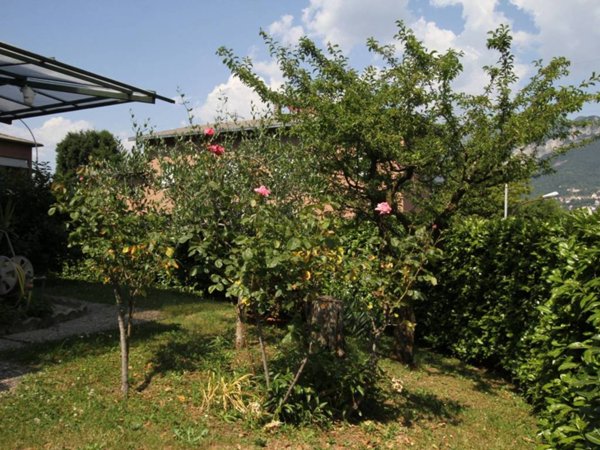 casa indipendente in vendita ad Olginate