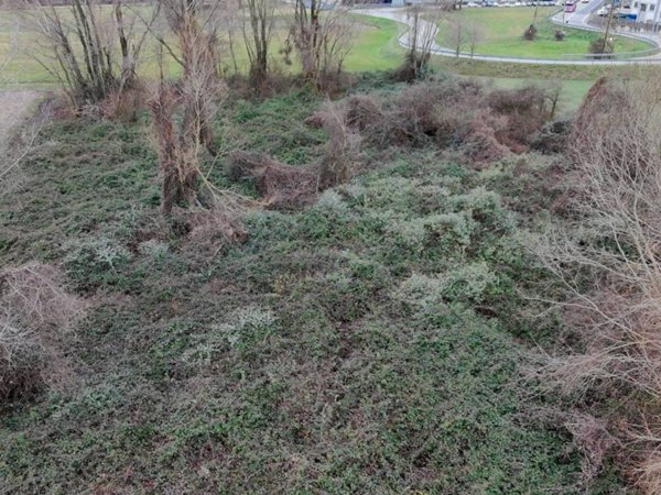 terreno agricolo in vendita ad Olginate