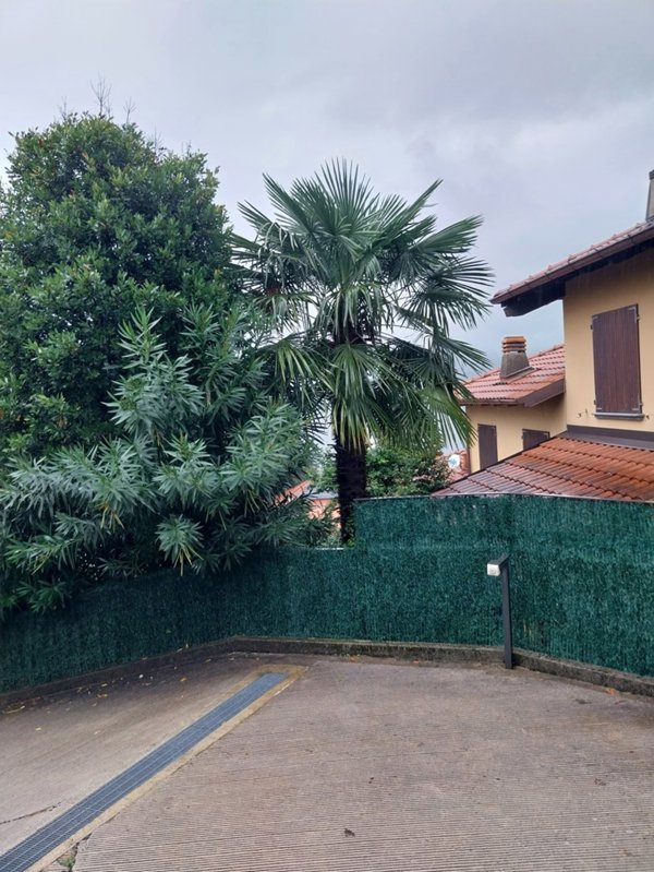 appartamento in vendita ad Oliveto Lario in zona Limonta
