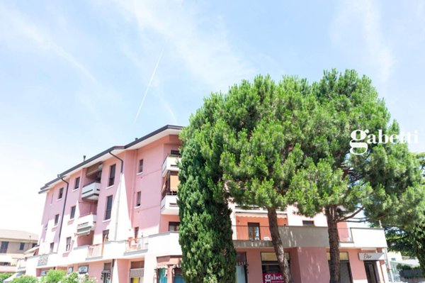 immagine annuncio 0 di 15