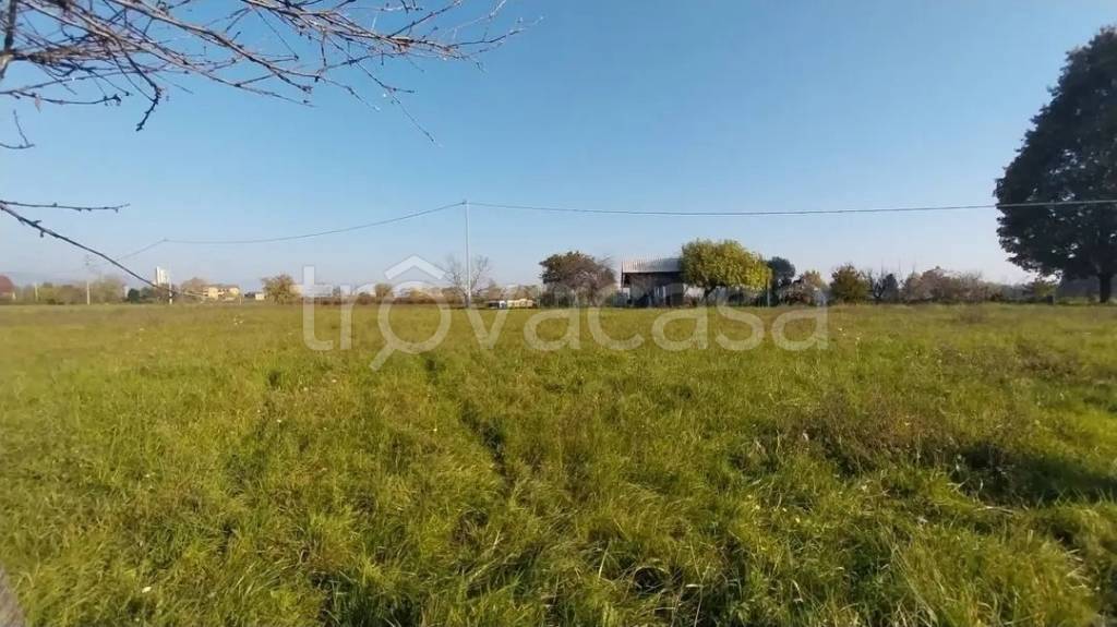 terreno agricolo in vendita a Paderno d'Adda