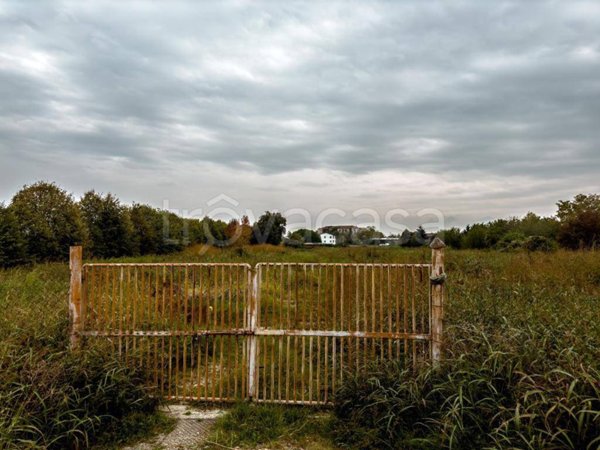 immagine annuncio 0 di 8