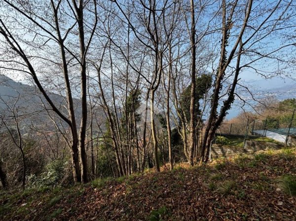 terreno edificabile in vendita a Perledo in zona Regolo