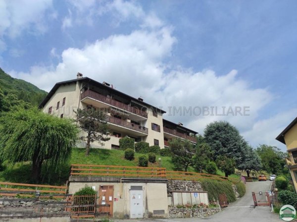 immagine annuncio 0 di 15