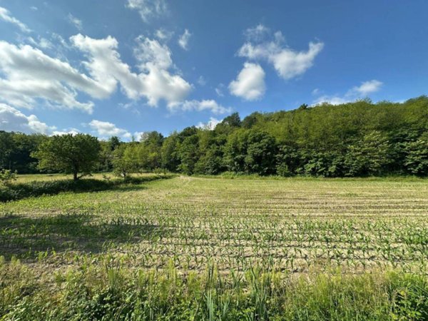 terreno agricolo in vendita a Sirone