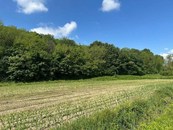 terreno agricolo in vendita a Sirone