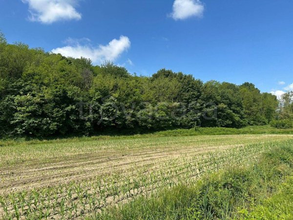 terreno agricolo in vendita a Sirone