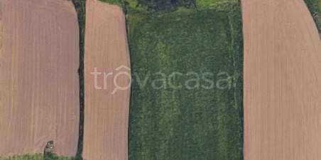 terreno agricolo in vendita a Sirone