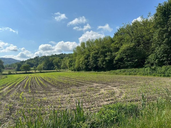 terreno agricolo in vendita a Sirone