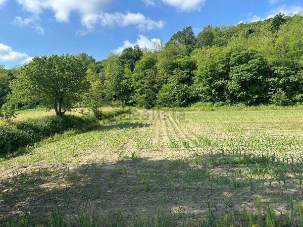 terreno agricolo in vendita a Sirone