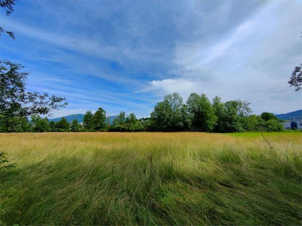 terreno agricolo in vendita a Sirone