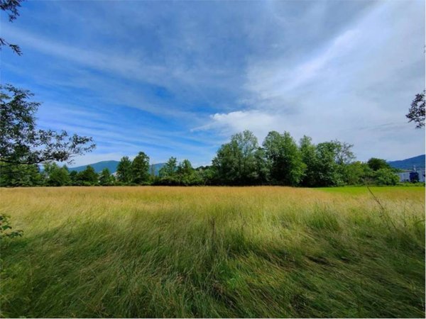 terreno agricolo in vendita a Sirone