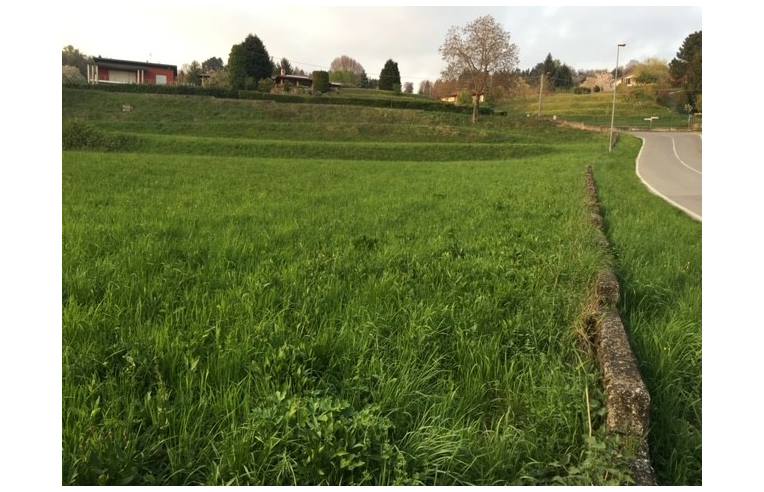 terreno agricolo in vendita a Sirtori
