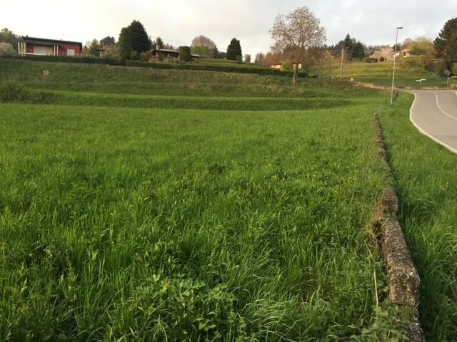 terreno agricolo in vendita a Sirtori in zona Bevera di Sirtori
