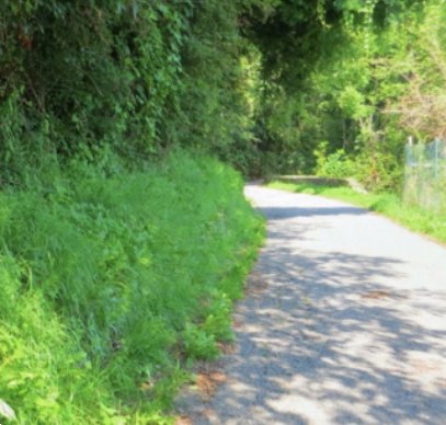 terreno agricolo in vendita a Valgreghentino