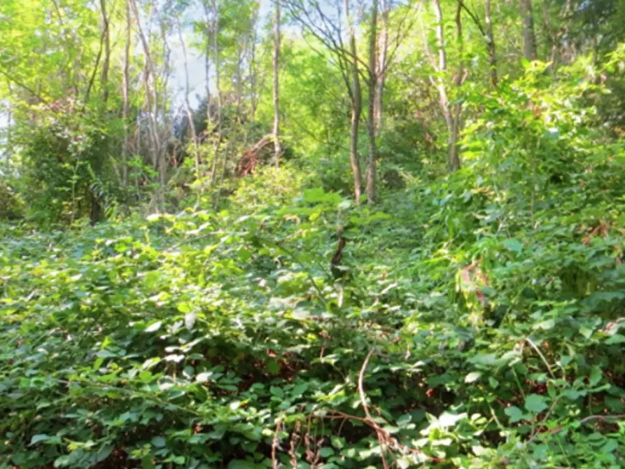 terreno agricolo in vendita a Valgreghentino