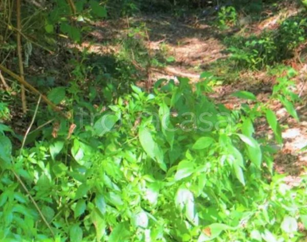 terreno edificabile in vendita a Valgreghentino