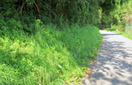 terreno agricolo in vendita a Valgreghentino