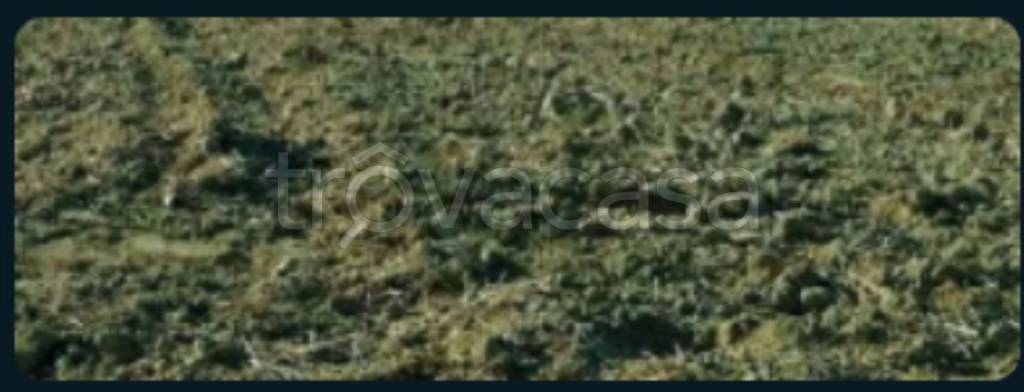 terreno agricolo in vendita a Felizzano