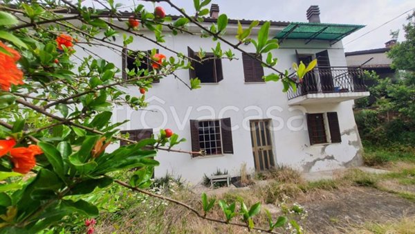casa indipendente in vendita a Felizzano