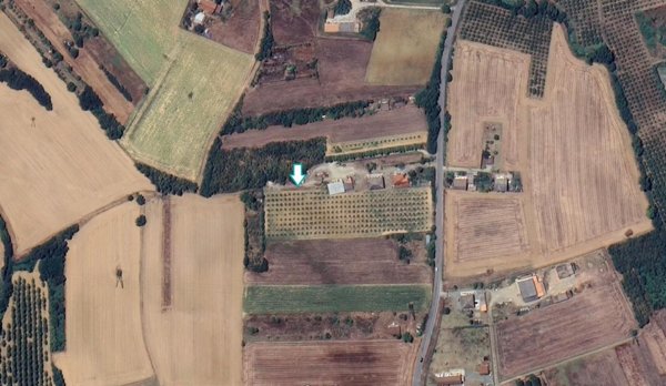 terreno agricolo in vendita a Felizzano