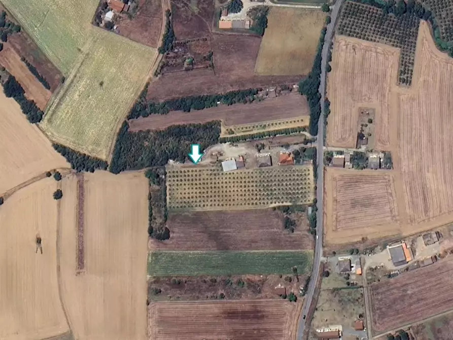 terreno agricolo in vendita a Felizzano
