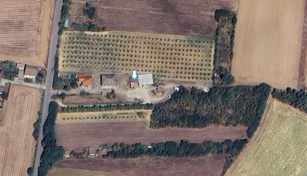 locale di sgombero in vendita a Felizzano