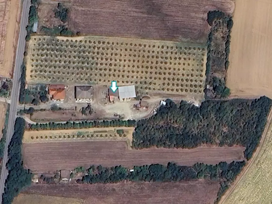 locale di sgombero in vendita a Felizzano