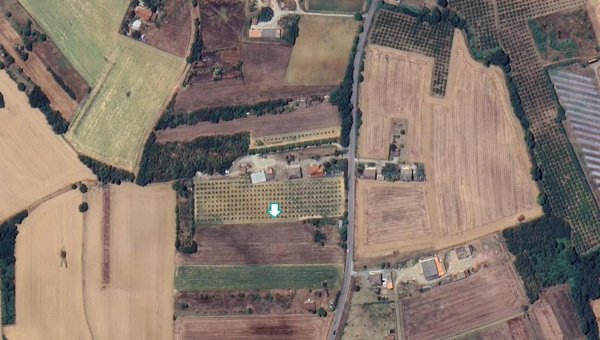 terreno agricolo in vendita a Felizzano