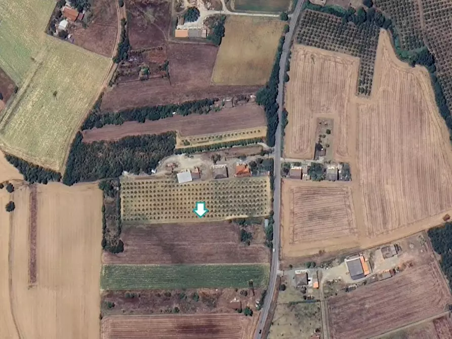 terreno agricolo in vendita a Felizzano
