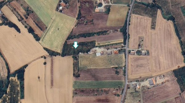 terreno agricolo in vendita a Felizzano