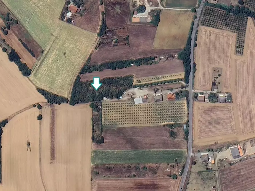 terreno agricolo in vendita a Felizzano
