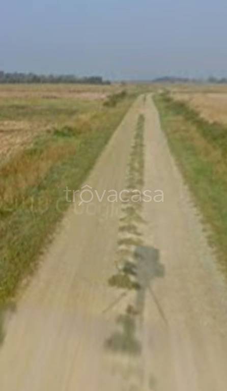 terreno agricolo in vendita a Felizzano