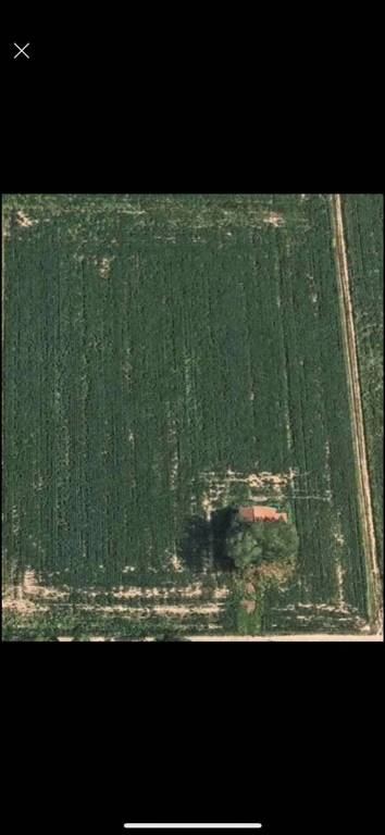 terreno agricolo in vendita a Verderio