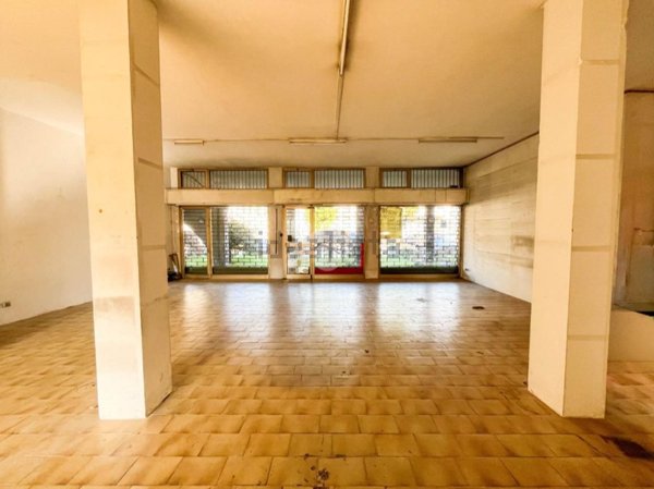 immagine annuncio 0 di 15