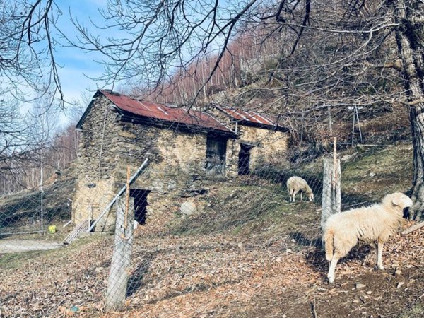 casa indipendente in vendita a Valvarrone in zona Vestreno