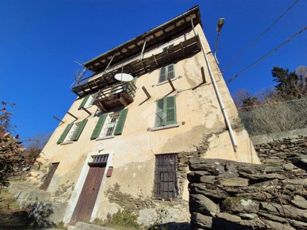 casa indipendente in vendita a Valvarrone in zona Introzzo
