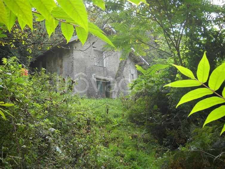 casa indipendente in vendita a Fraconalto