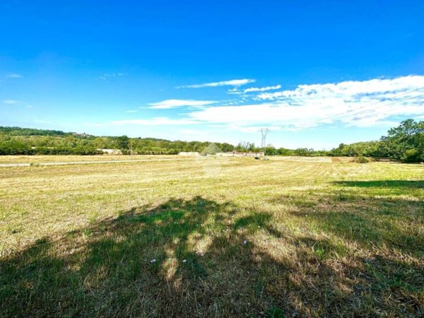 terreno agricolo in vendita a Francavilla Bisio