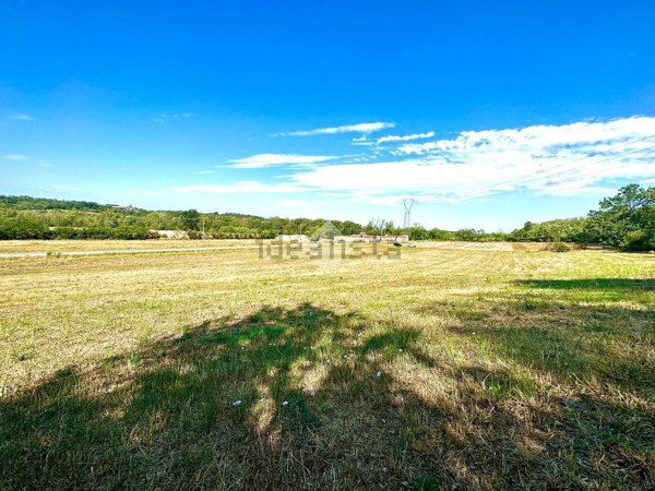 terreno agricolo in vendita a Francavilla Bisio