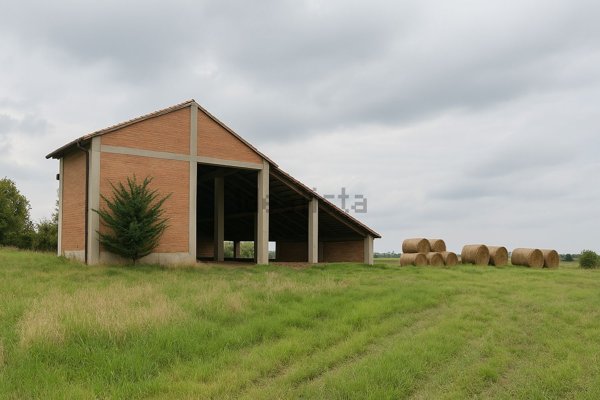 casa indipendente in vendita a Frascaro