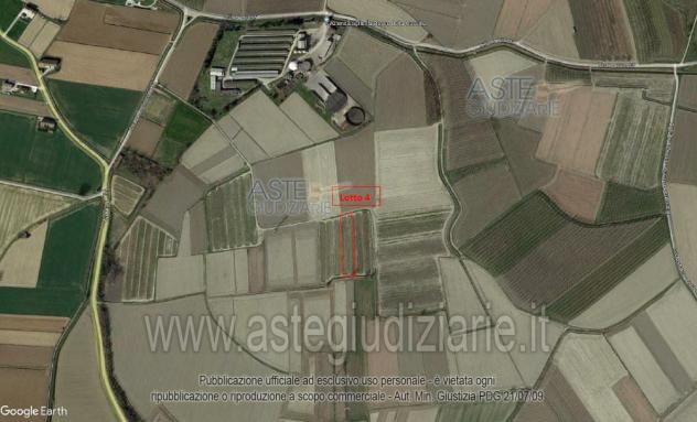 azienda agricola in vendita a Frassineto Po