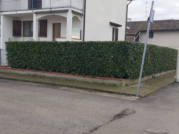 casa indipendente in vendita a Frassineto Po