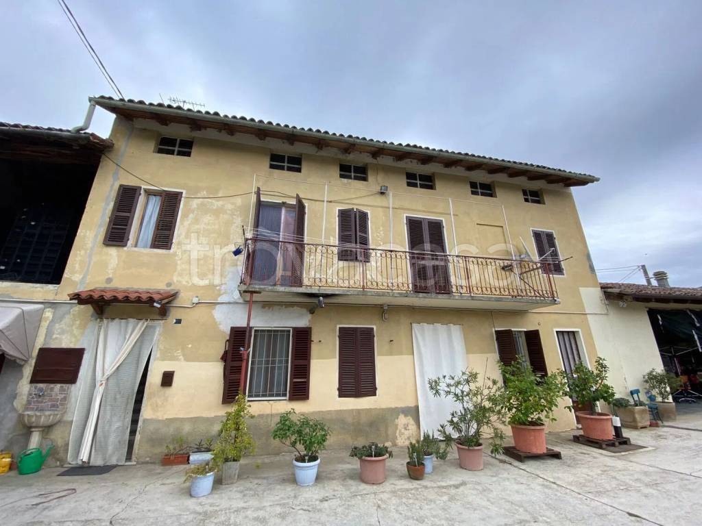 casa indipendente in vendita a Frassineto Po