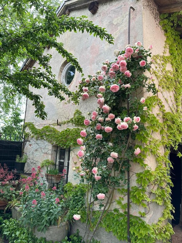 casa indipendente in vendita a Fresonara